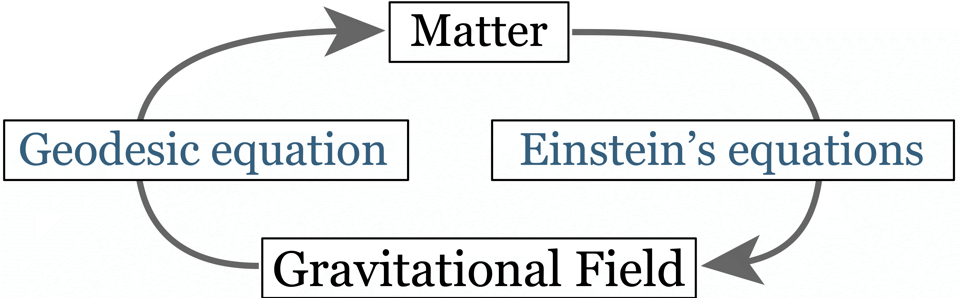 Matter-Gravity Feedback Loop